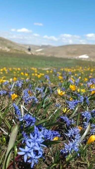 Konya’da doğa canlandı, kartpostallık bahar manzaraları çıktı 3